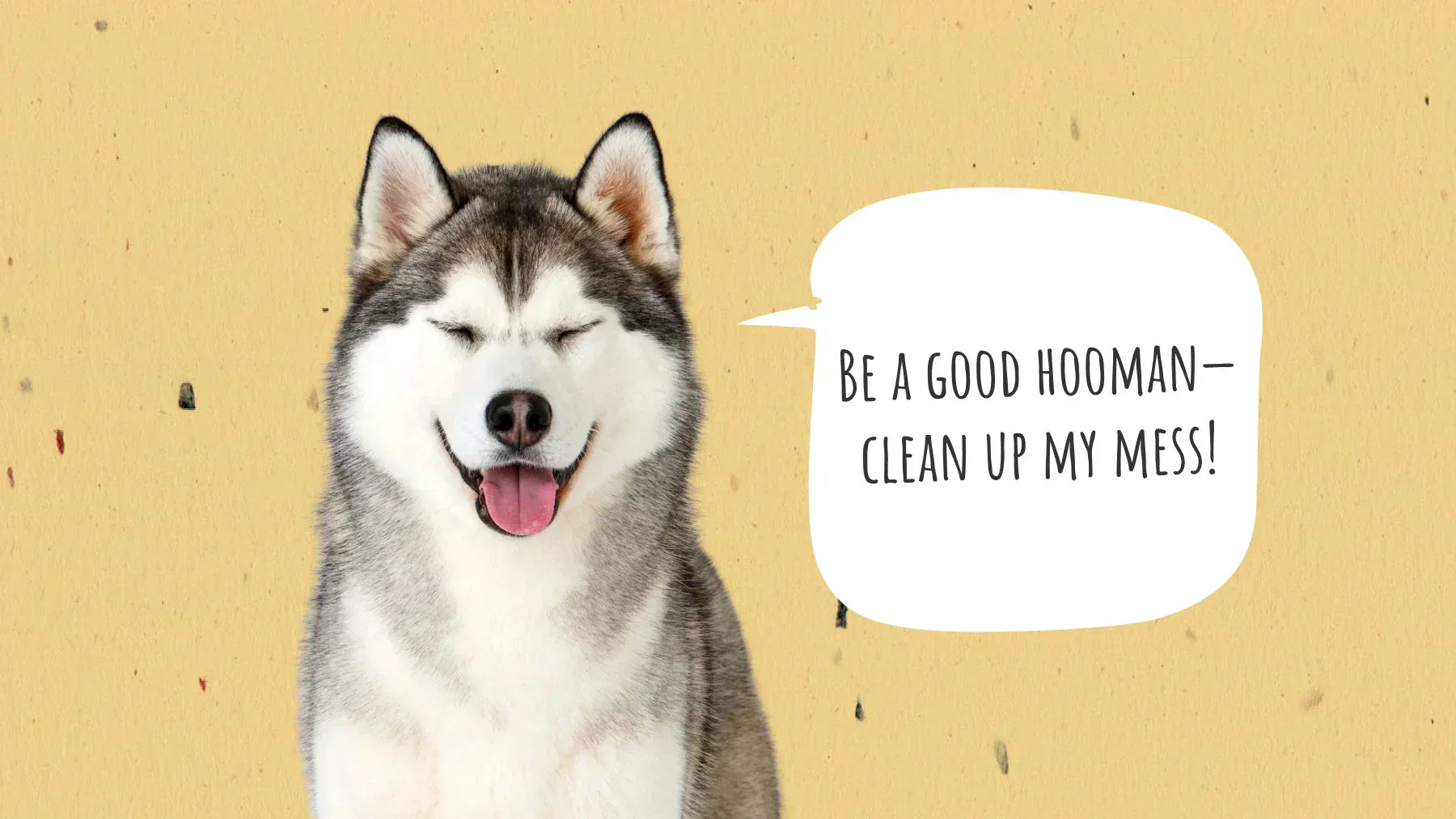 The Best Way to Dispose of Dog Poop