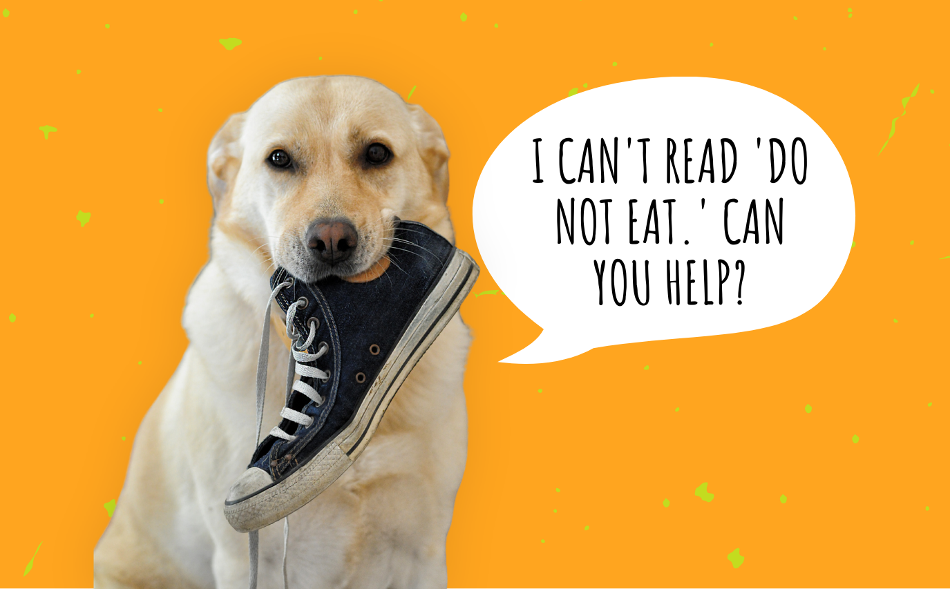 A Loving Home is a Safe Home: A Guide to Pet Poison Prevention