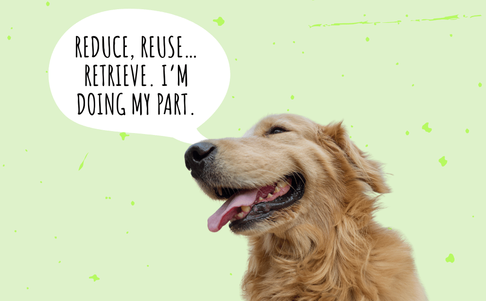 5 Simple Swaps for Dog Parents on Earth Day & Beyond (Plus a Delicious Earth-Friendly Treat!)