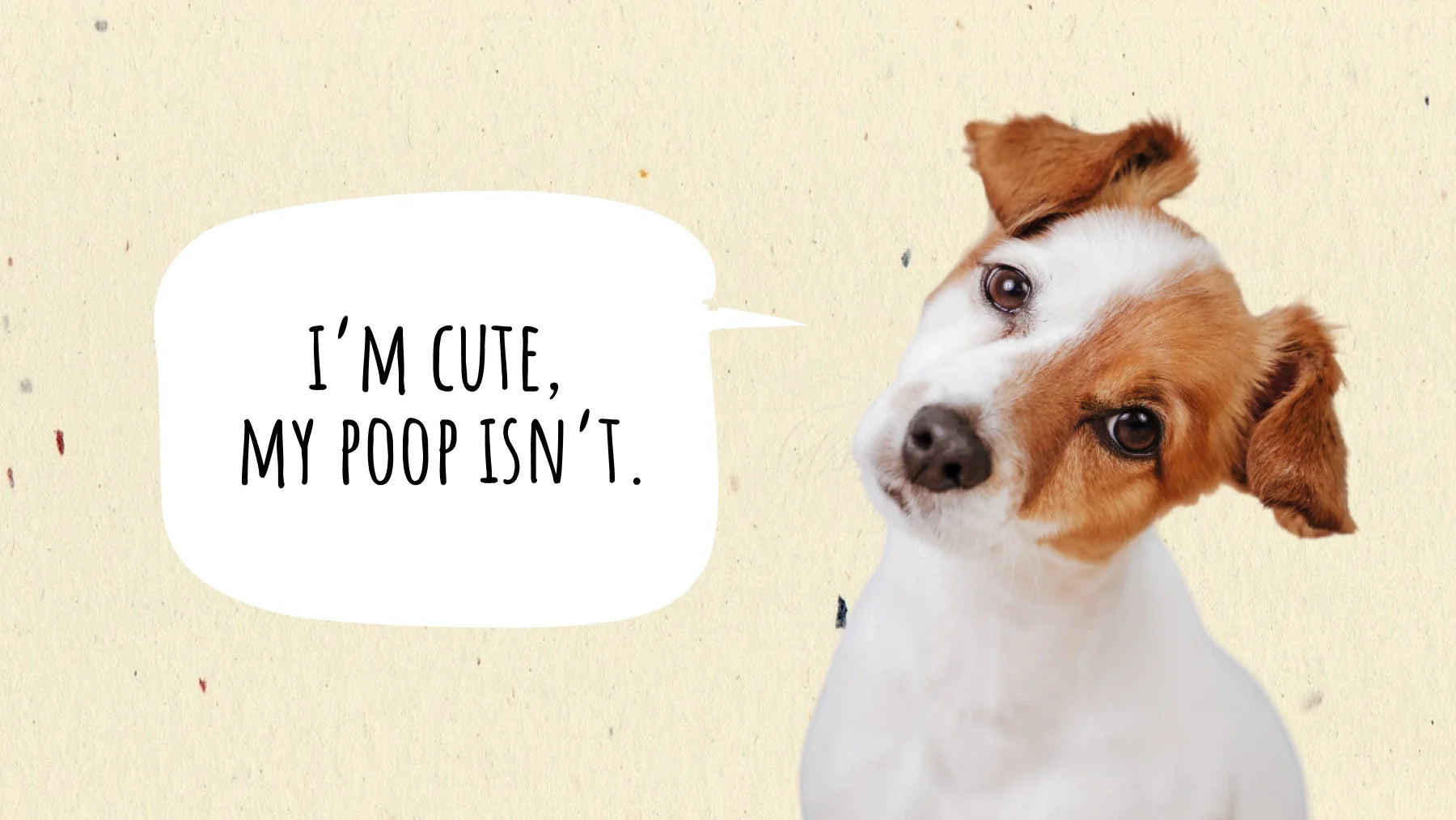 Is Dog Poop Good Fertilizer?