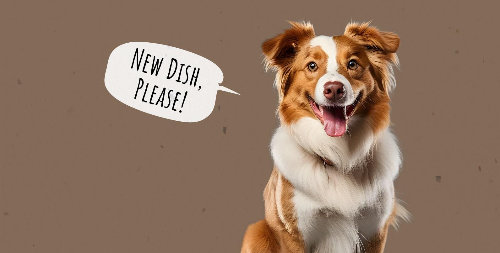 How to Change Your Dog's Food A Simple Transition Guide