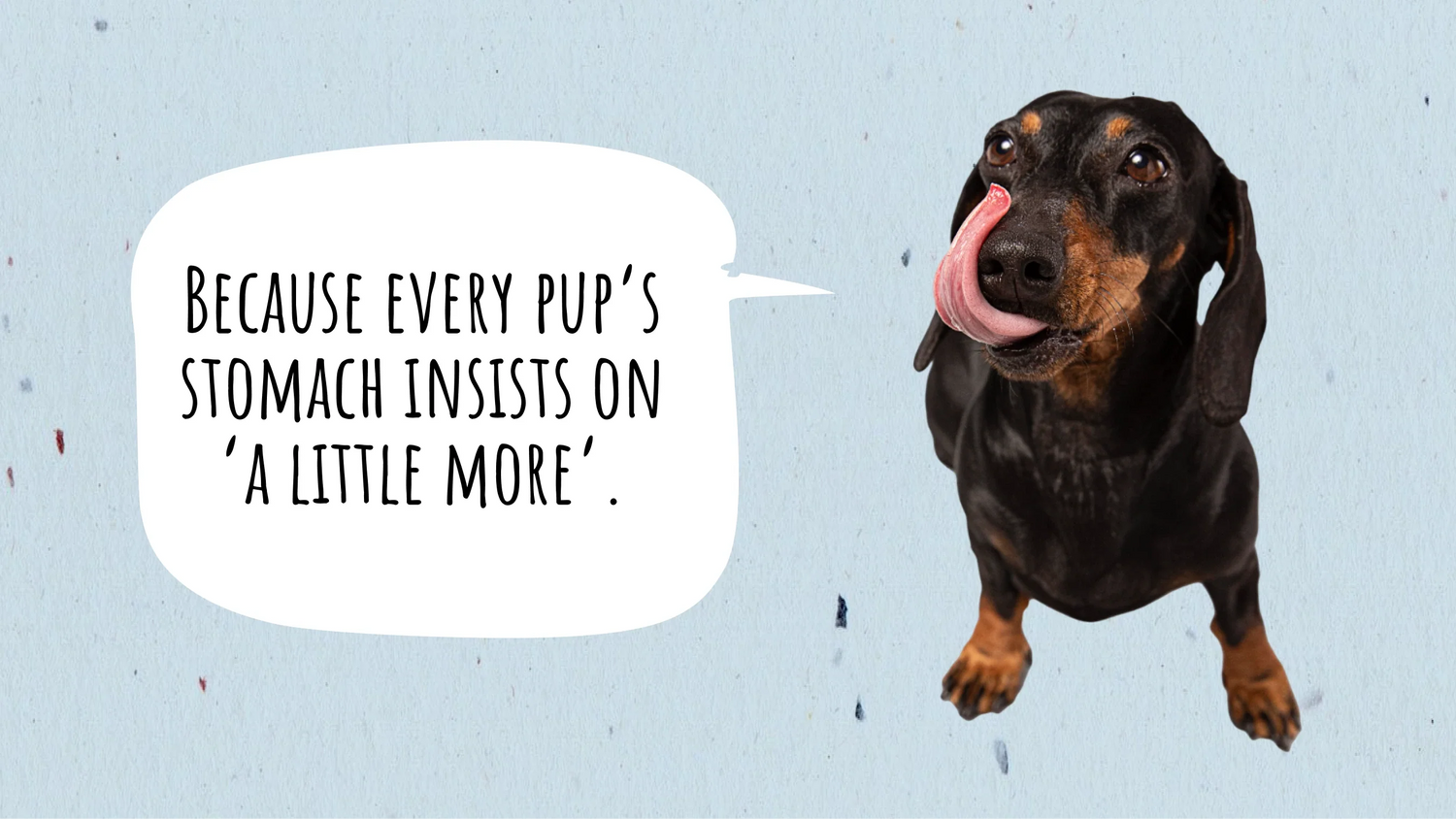 How Much Food Does Your Dog Need
