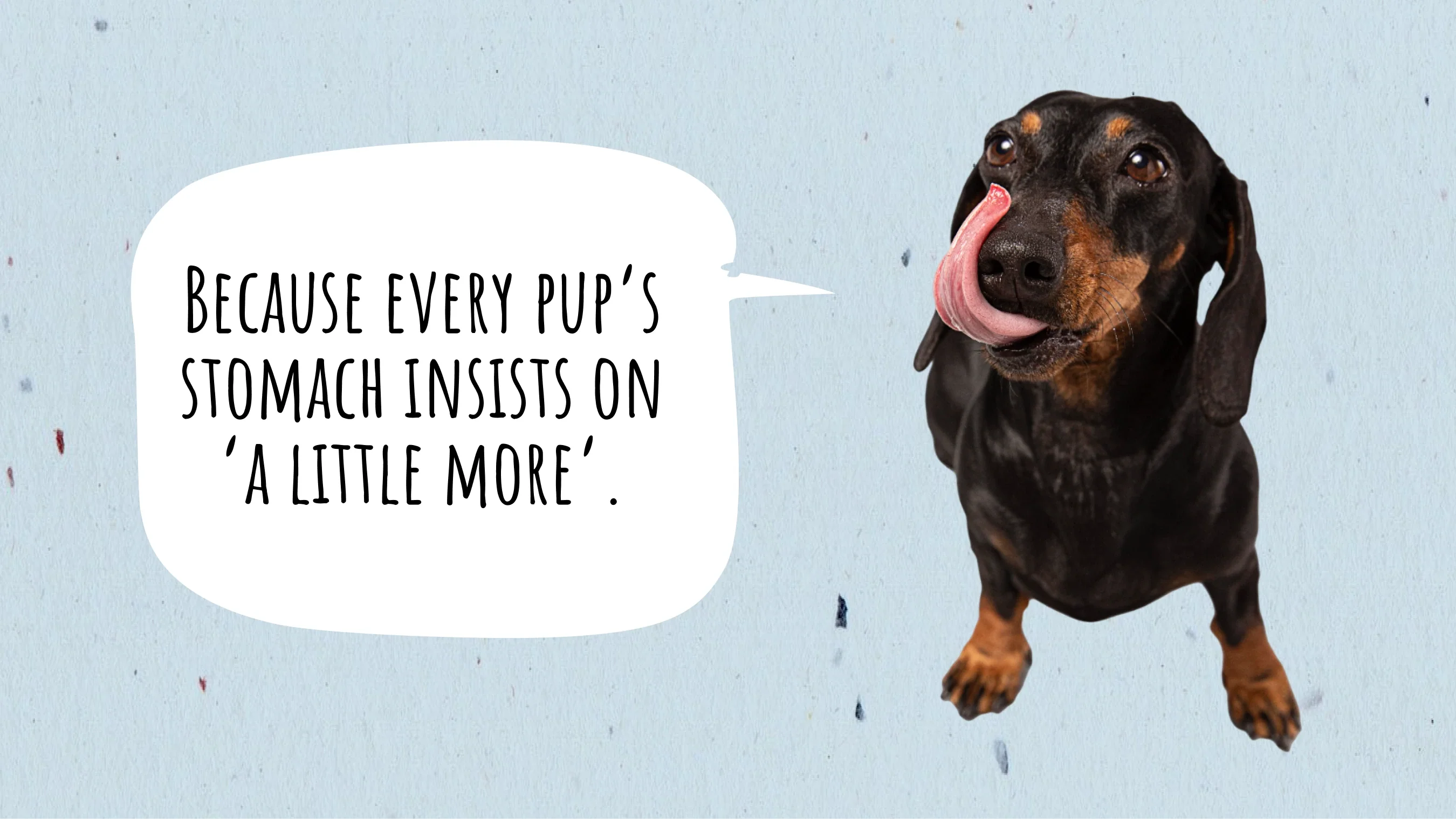 How Much Food Does Your Dog Need