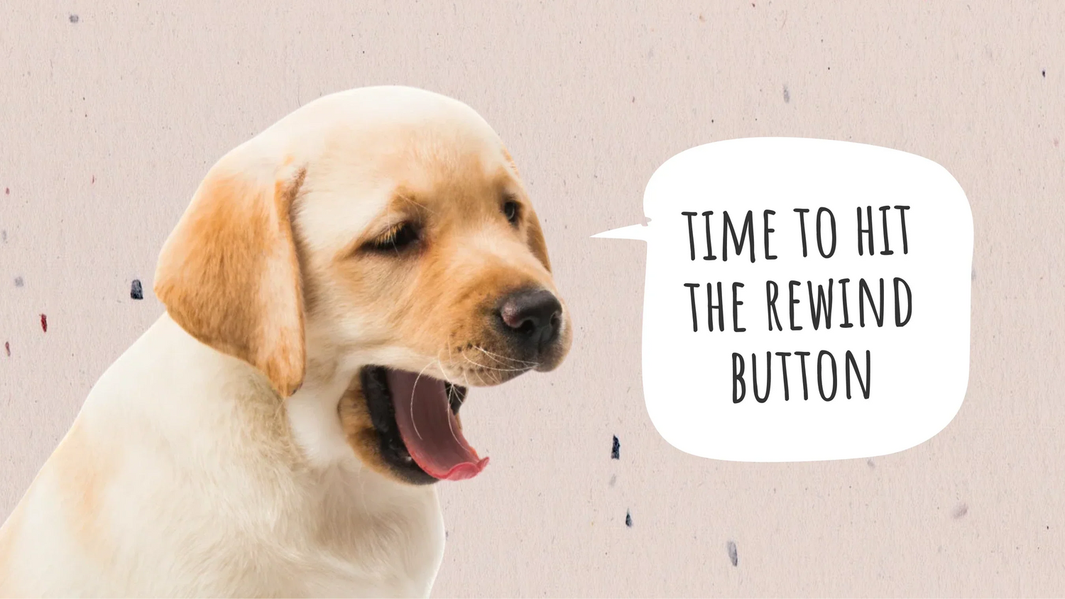 How to Make a Dog Throw Up