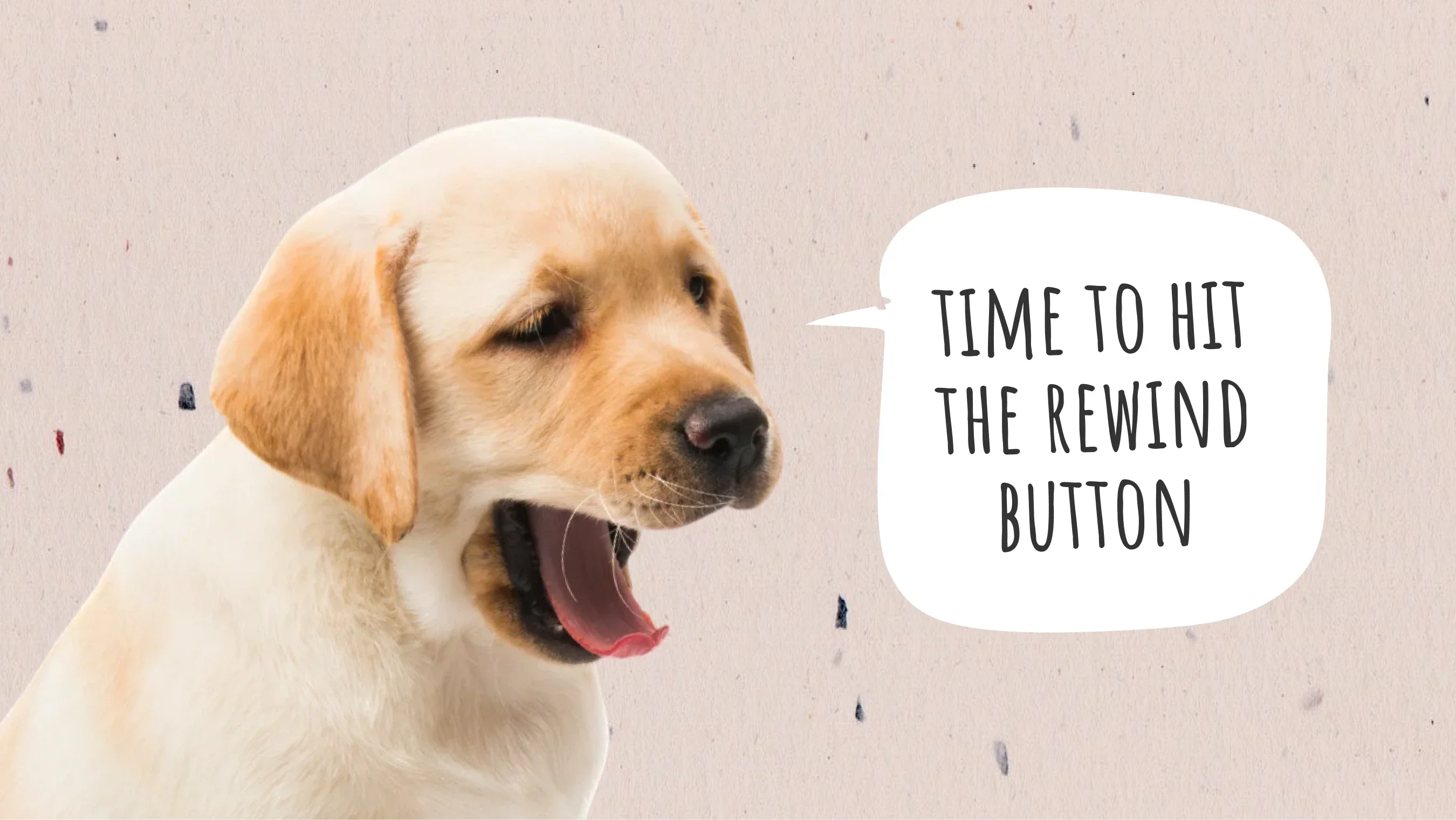 How to Make a Dog Throw Up
