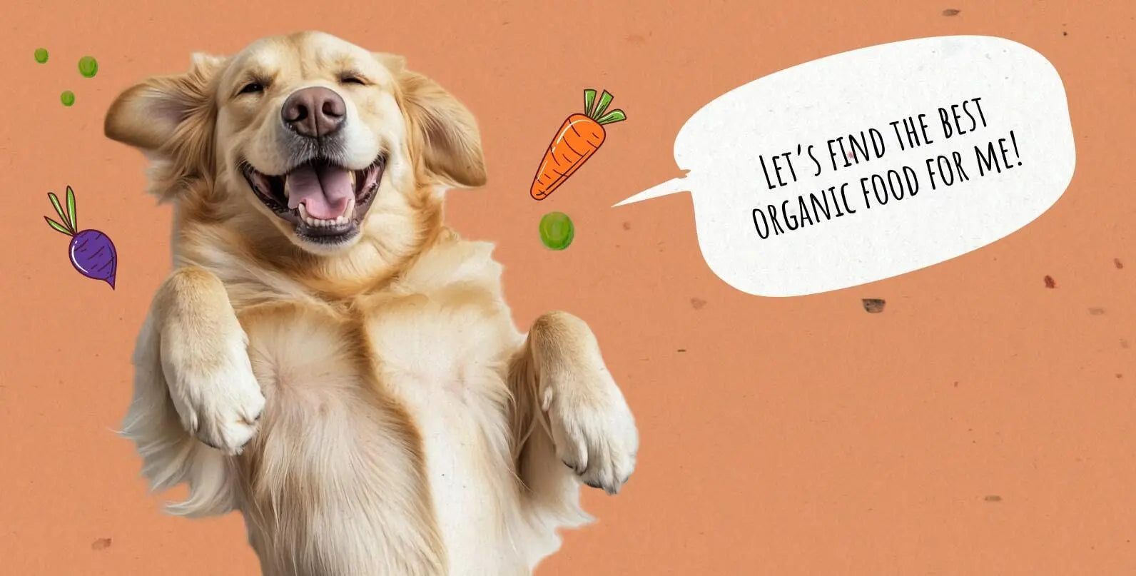 Organic Dog Food: Healthier Choices for Your Pet [Best Options Reviewed]